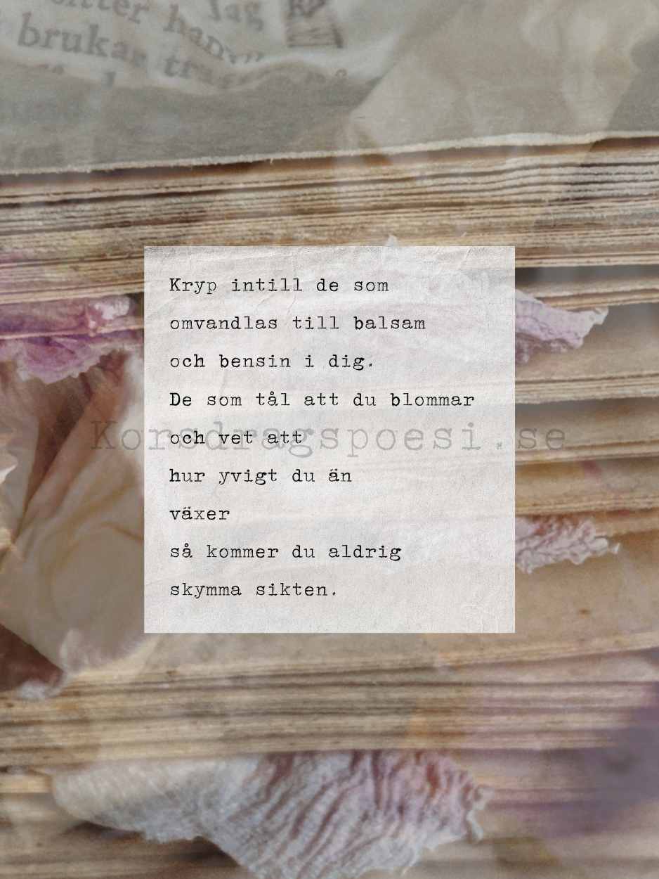 Fotopoesi 30x40 cm – Balsam och bensin