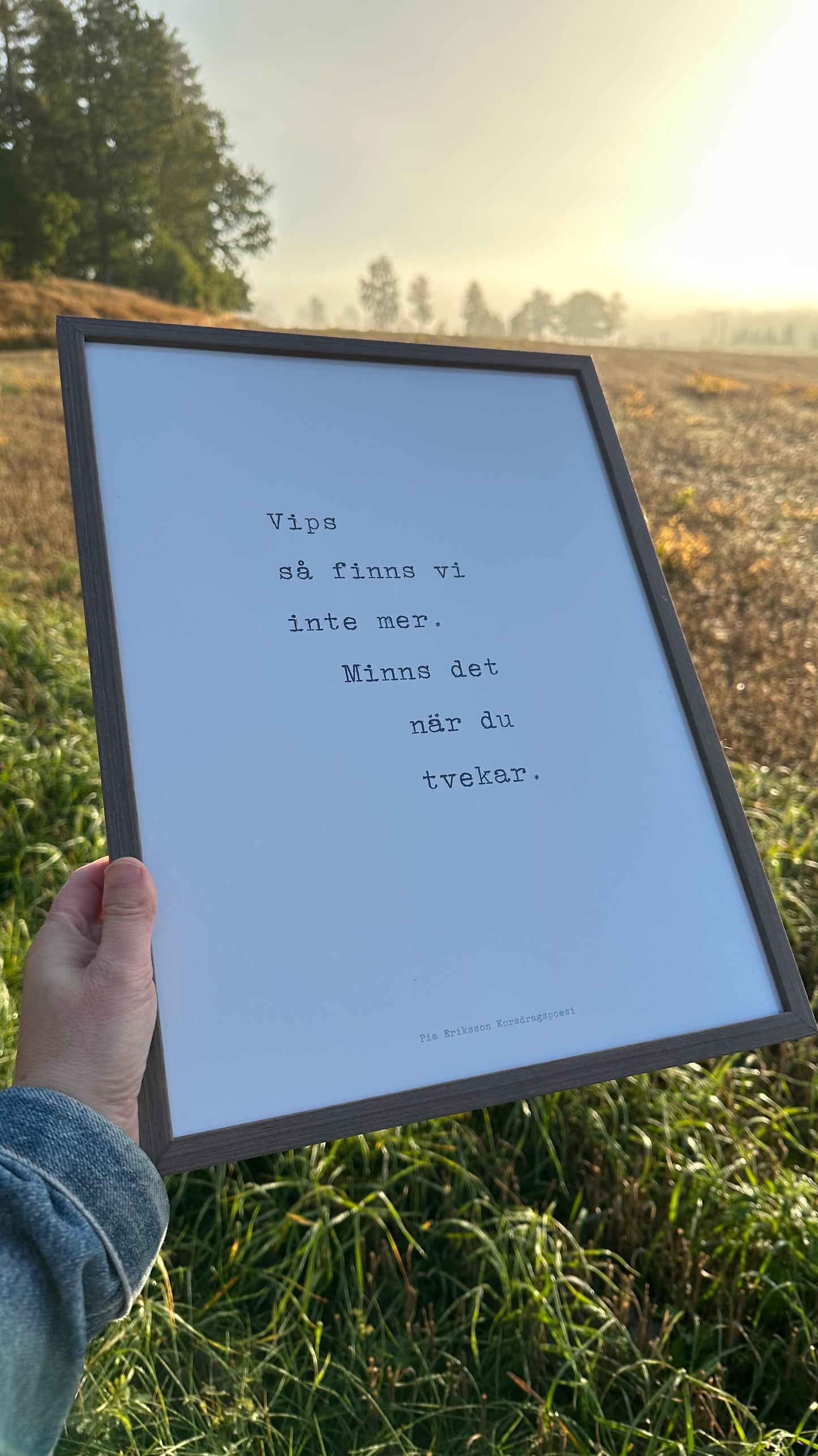 Poster 30x40 cm – Vips, så finns vi inte mer