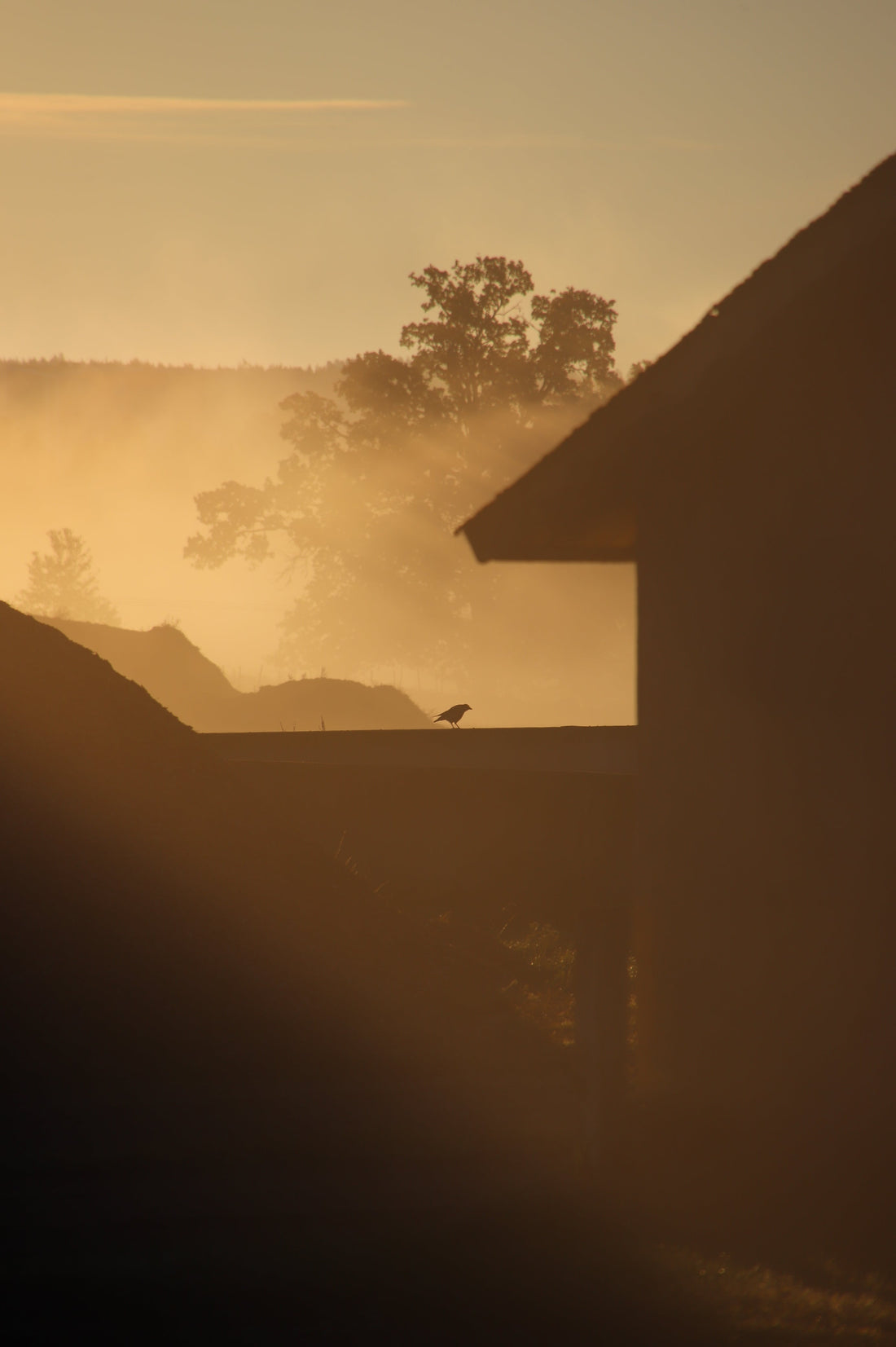 Jag går omvägar för att höra mina egna tankar.