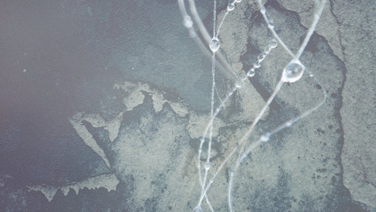 Min vän är vän med havet.