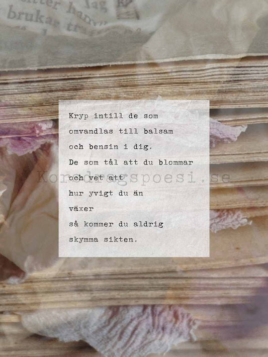 Fotopoesi 30x40 cm – Balsam och bensin