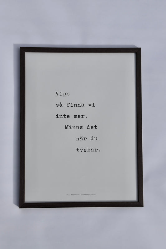 Poster 30x40 cm – Vips, så finns vi inte mer