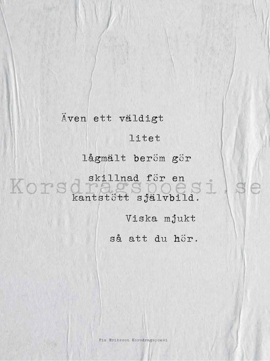 Poster 30x40 cm – Lågmält beröm