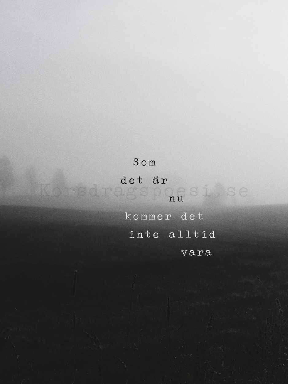 Fotopoesi 30x40 cm – Som det är nu