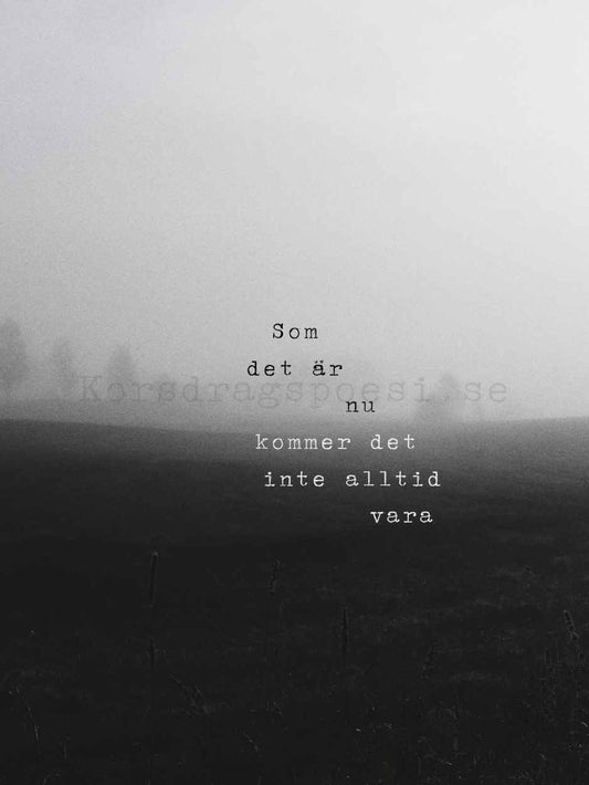 Fotopoesi 30x40 cm – Som det är nu