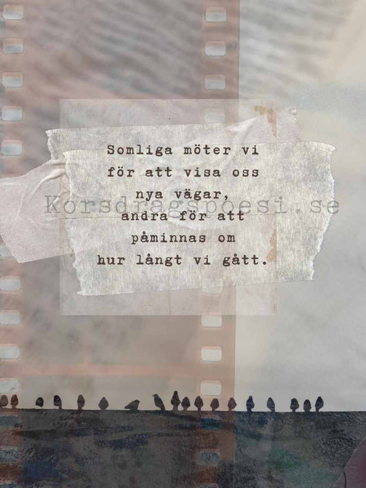 Fotopoesi 30x40 cm – Somliga möter vi