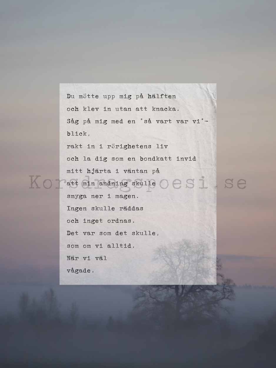 Fotopoesi 30x40 cm – Utan att knacka